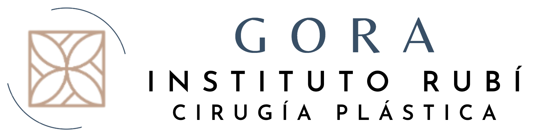 Instituto Rubi logo